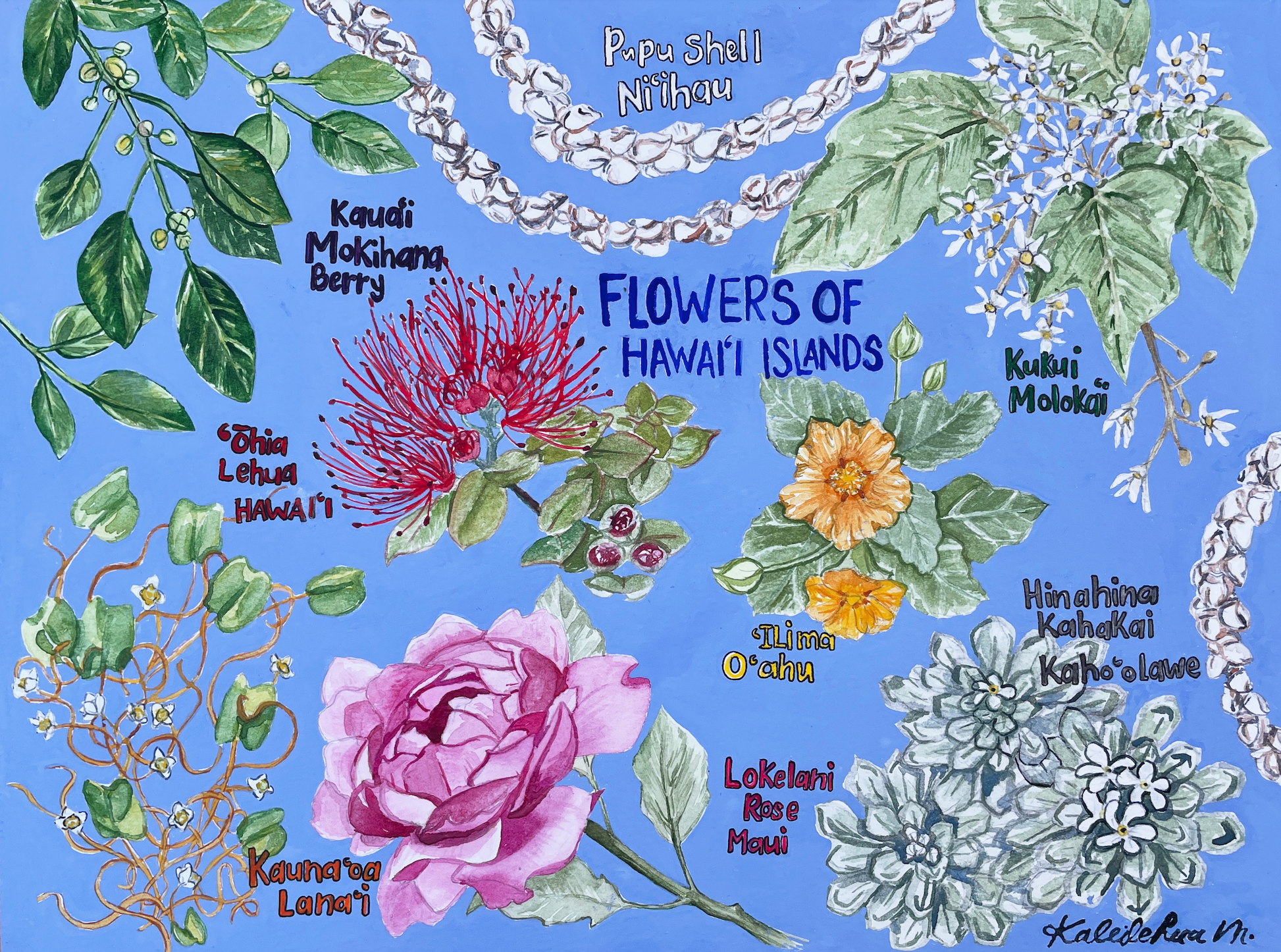 Flowers of Hawaiʻi by Kaleilehua Designs – Surf Shack Puzzles
