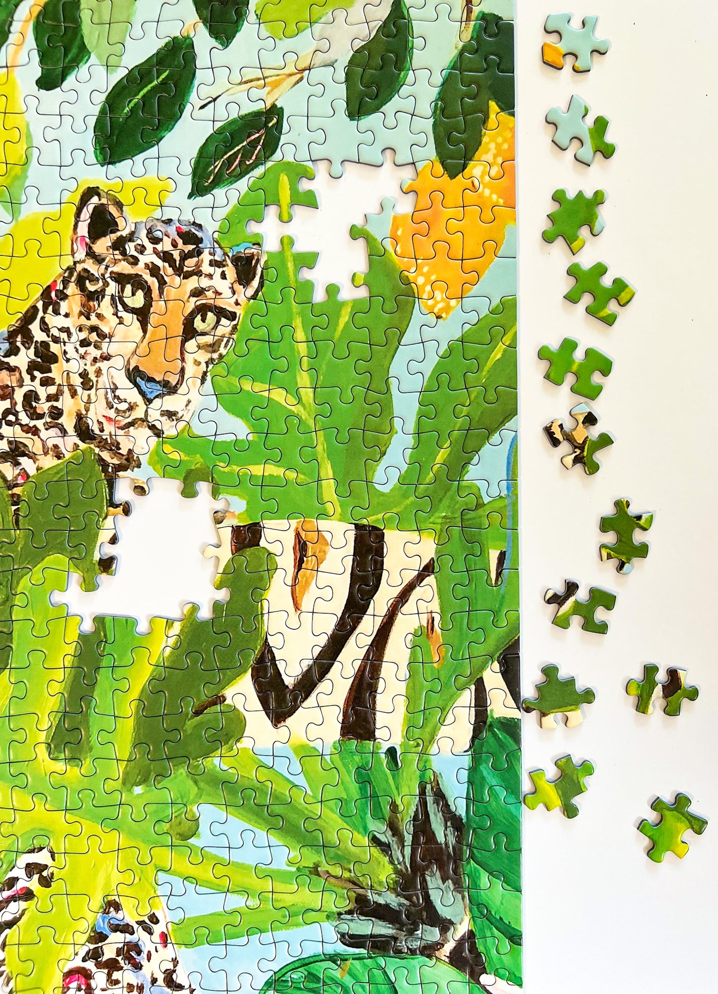 Jungle Cats by Megan Carn