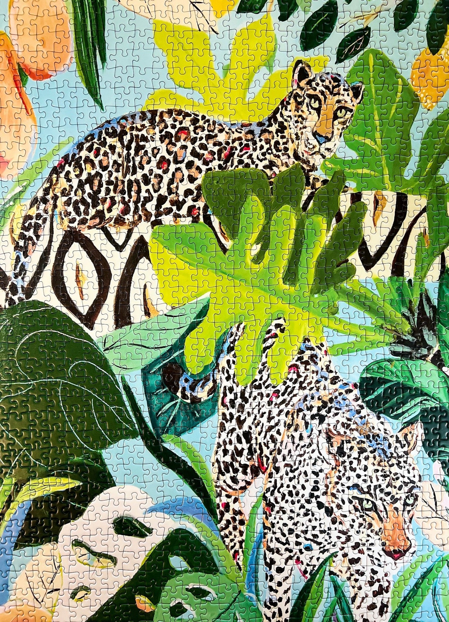 Jungle Cats by Megan Carn