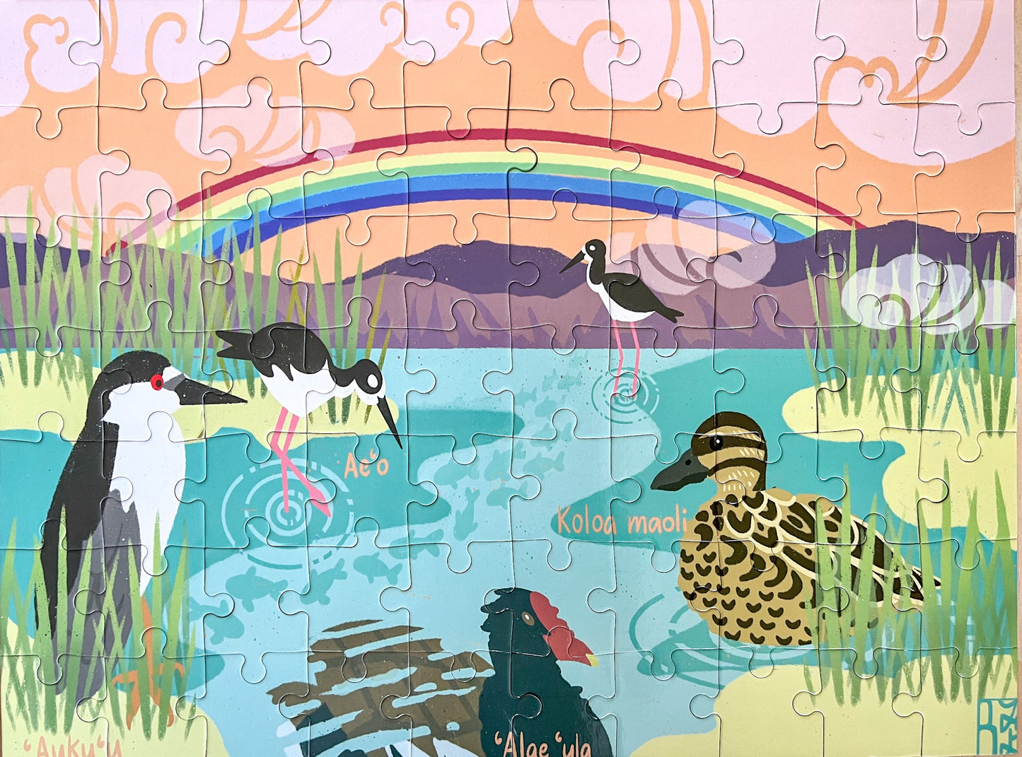 Wetlands by Bailey Onaga