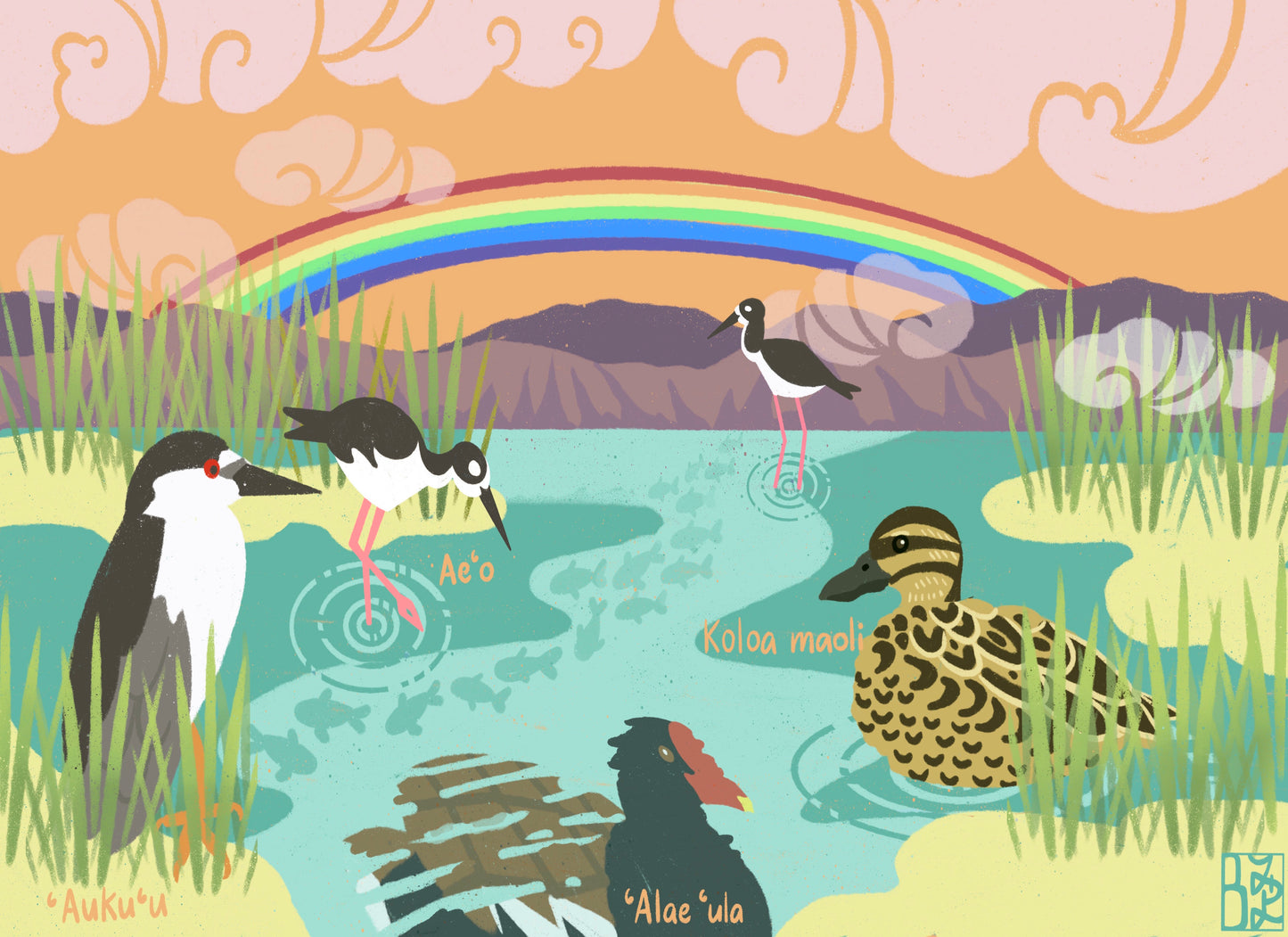 Wetlands by Bailey Onaga