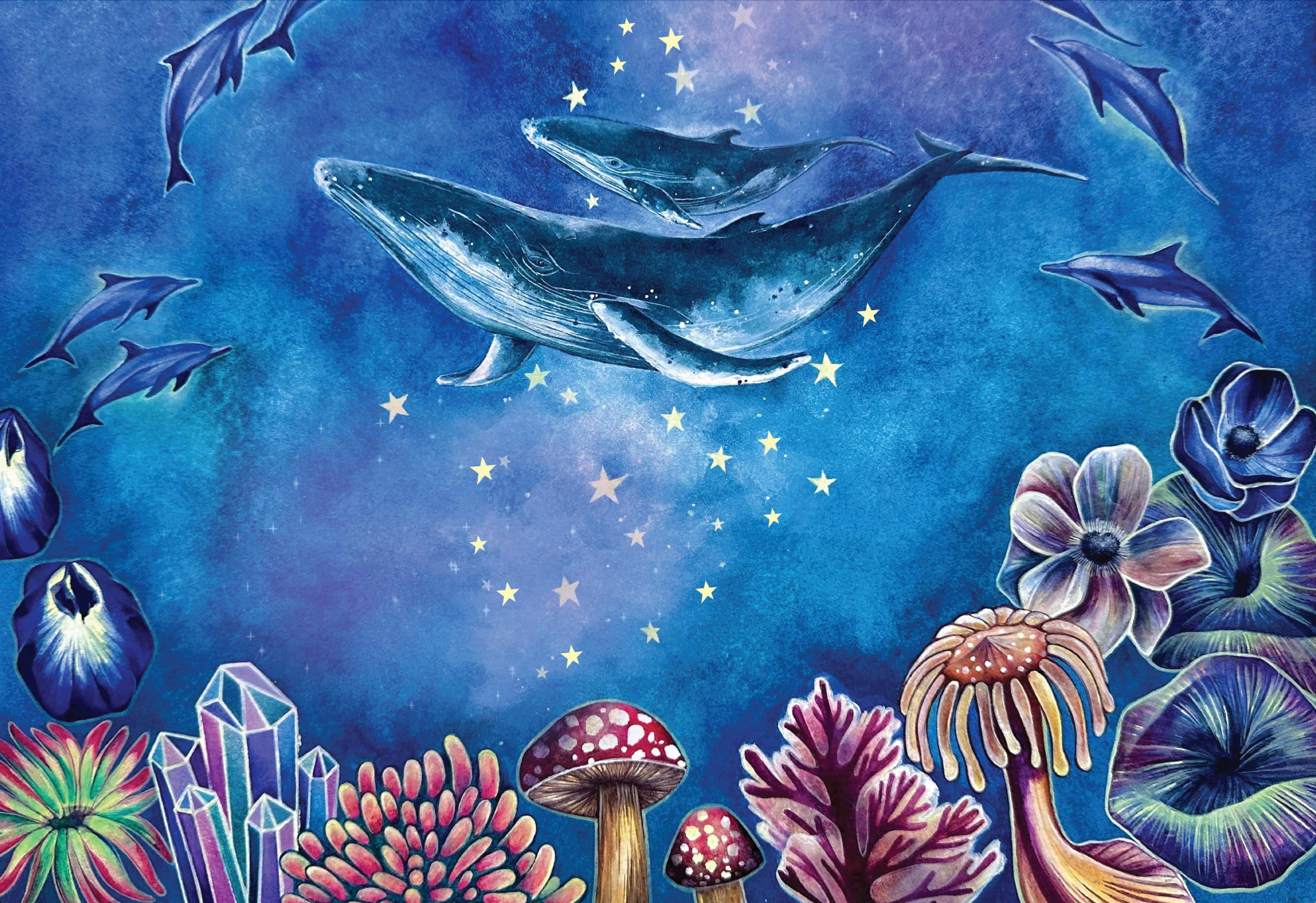 Ocean Wonders by Danielle Burnside – Surf Shack Puzzles