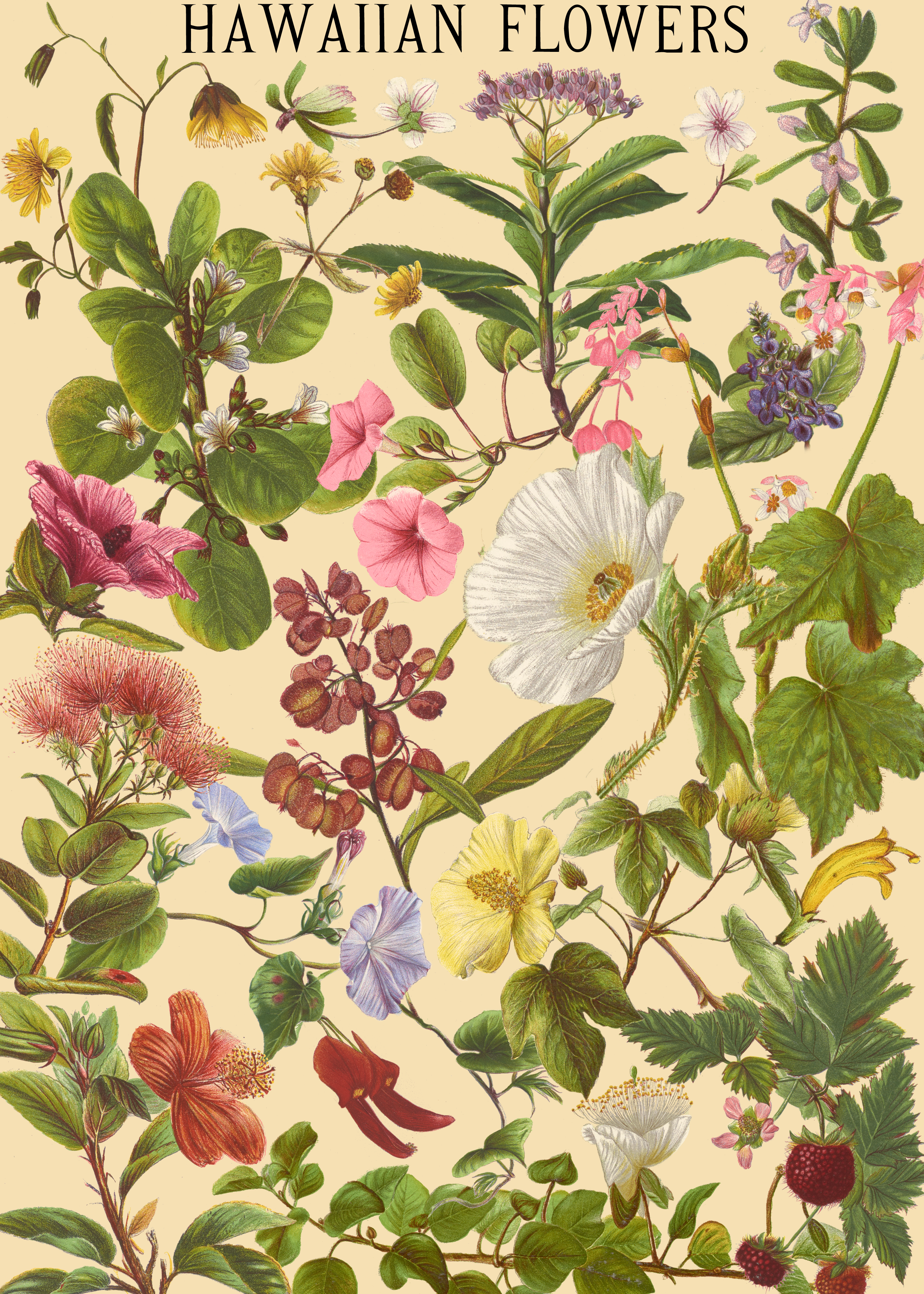 hawaiianflowers_surfshackpuzzles-01_1.png