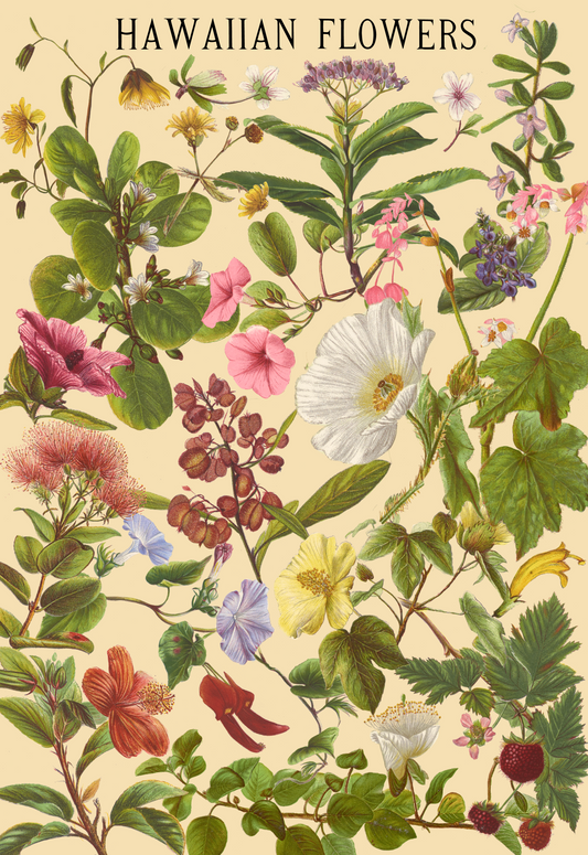 Hawaiian Flowers by Laulima Hawaiʻi