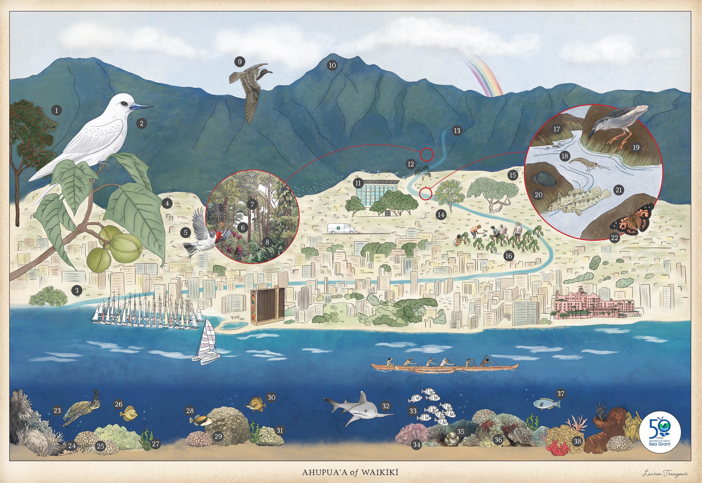 Ahupuaʻa of Waikīkī by Lauren Trangmar in partnership with Hawaiʻi Sea Grant